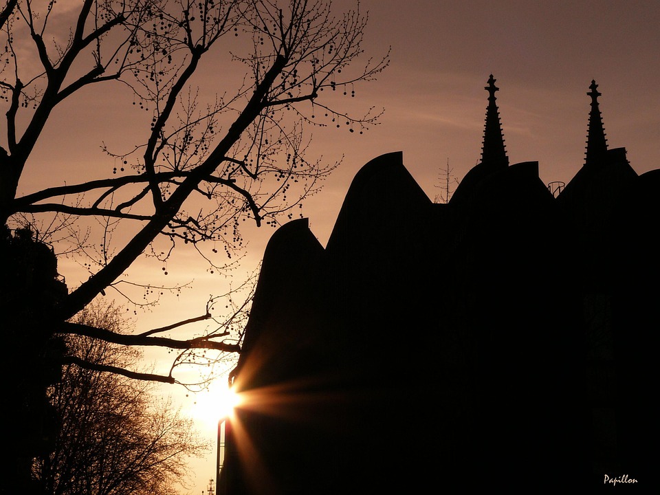 Der Dom und der Baum